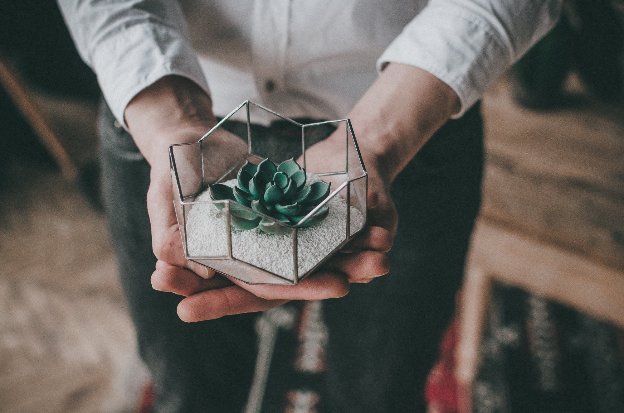 Petit Verre Géométrique Terrarium Princesse Succulent Terrarium Jardinière Succulente Cadeau Pour Su