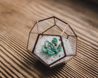 Mini succulent terrarium Dodecahedron Christmas gift For Her Stainedglass box Fairy garden Geometric glass terrarium