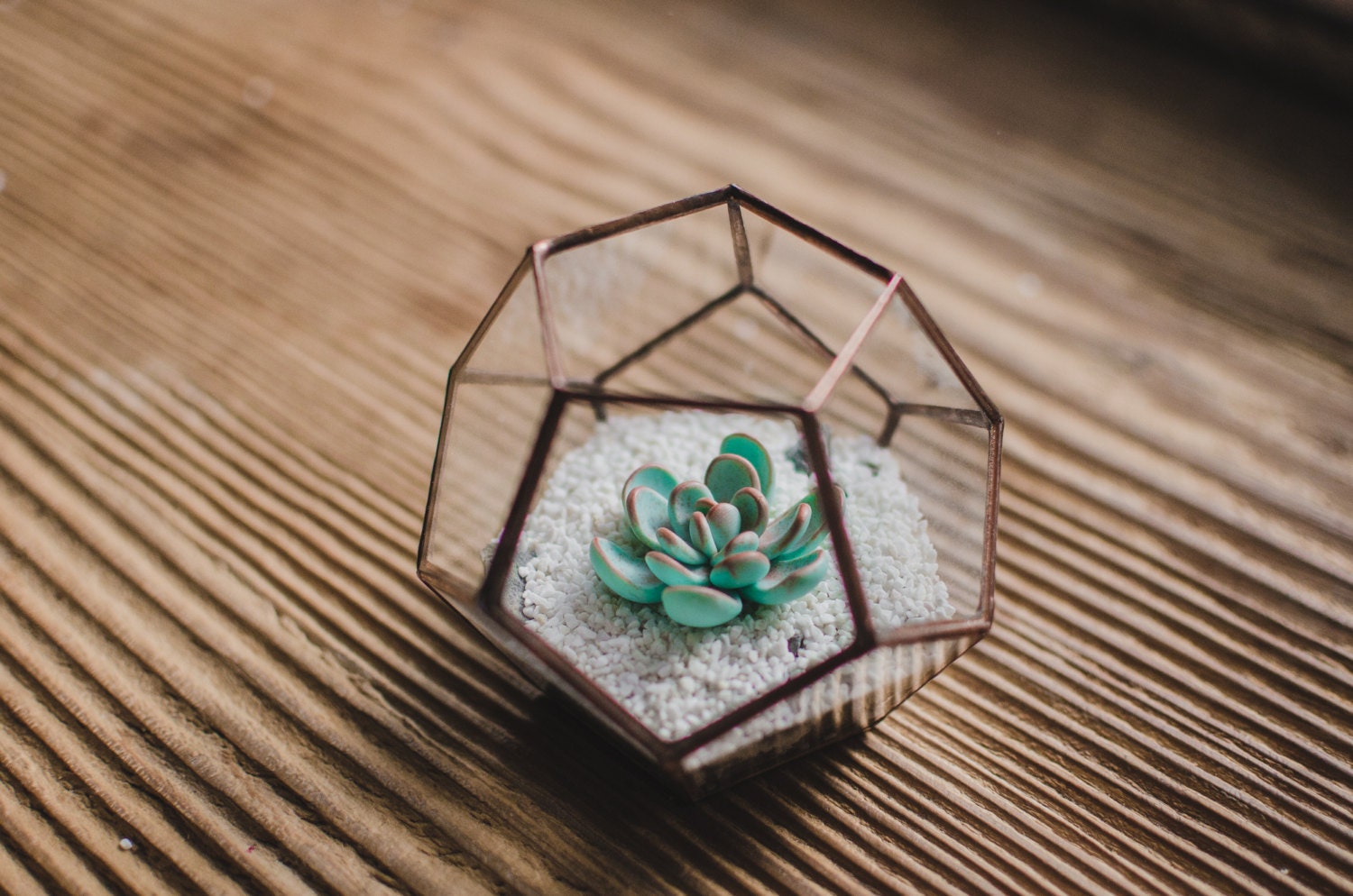 Mini Succulent Terrarium Dodecahedron Cadeau de Noël Pour Sa Boîte Vitraux Jardin Féerique Terrarium