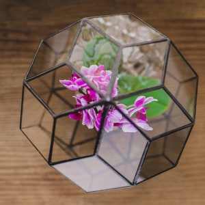 Glass Terrarium Large Rocket Wedding box Stained glass Orchid terrarium Glass decoration Indoor gardening Geometric terrarium image 7