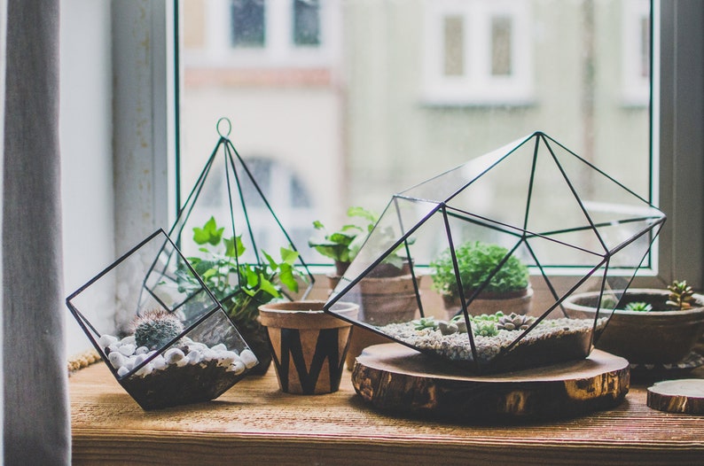 Succulent Terrarium Large Strange shape Stained Glass Vase Etsy