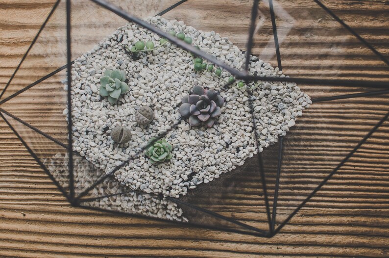 Succulent Terrarium Large Strange shape Stained Glass Vase Etsy