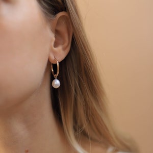 Freshwater Pearl Hoop Earrings, Gold Plated Alma Collection image 1