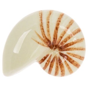 May include: A ceramic nautilus shell-shaped dish. The dish is off-white with brown radial stripes emanating from the center. The shell has a glossy finish and is likely used for decorative purposes or as a small serving dish.