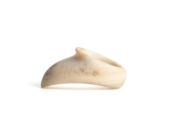 Vermil Archery Thumb Ring -  Classic Moose Antler - Protective Gear for Thumb Draw in Traditional Archery