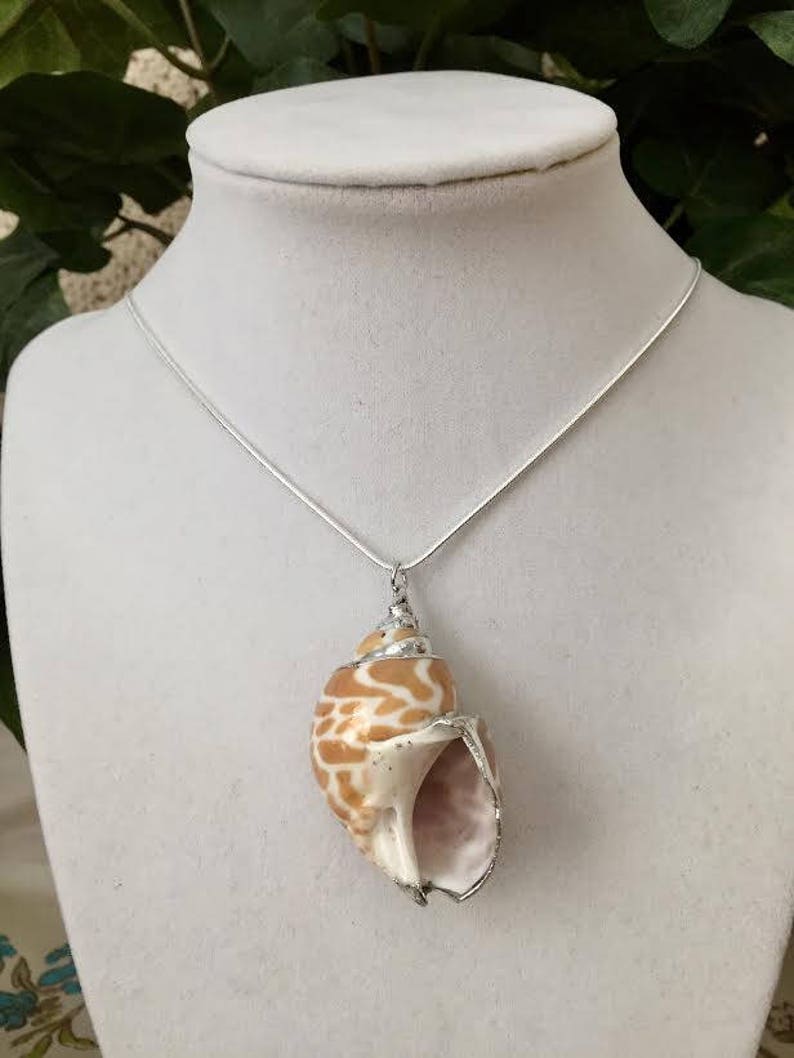Natural Seashell Pendant, 18K White Gold Plated on 22 Sterling Silver