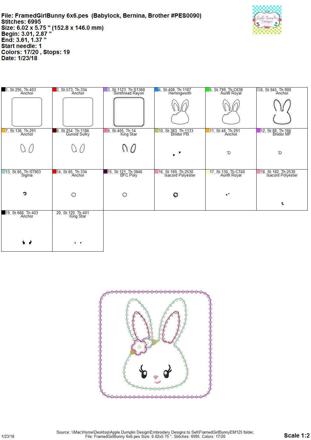 Bunny in Frame, Zigzag Stitch, Applique Design, Machine Embroidery