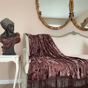 Brown Velvet Fringe Throw, Elegant Bed Scarf, Sheer Photography Prop, Shabby French Country Decor, Cottage Chic Mocha Mousse Throw.