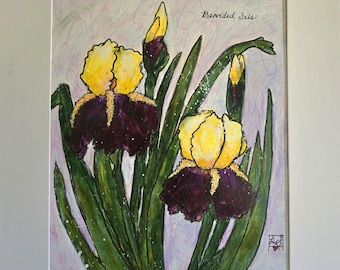 BEARDED IRIS Acrylic Painting: Art, Garden Floral, Matted 11x14 Ships Free.