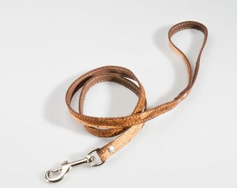 Dog or Cat Leash 2