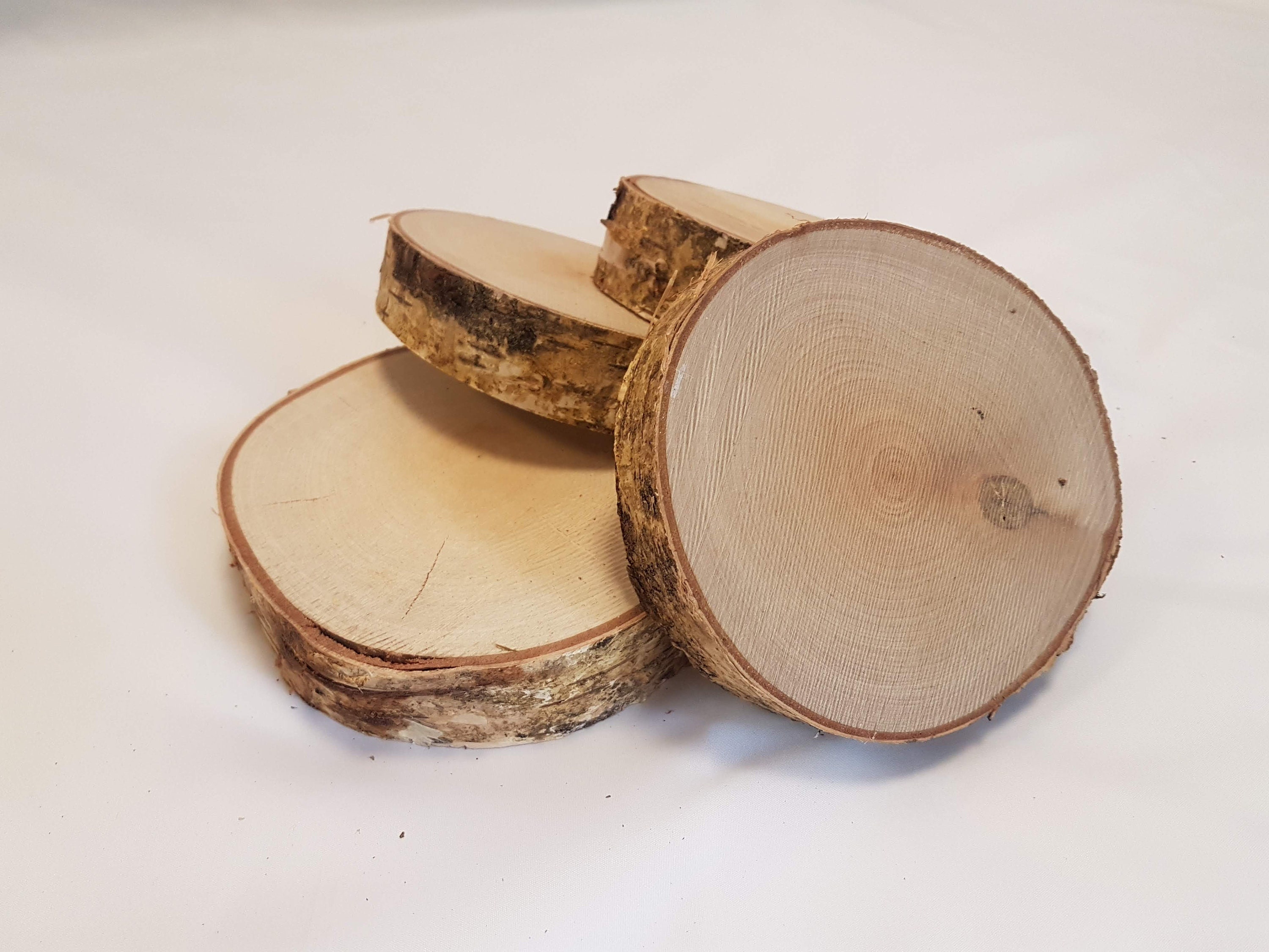 Round Log Slices Kiln Dried Hardwood Silver Birch Etsy UK
