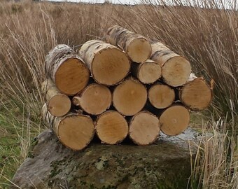 Full Round Logs - Kiln Dried Birch - 24cm Long