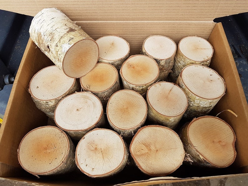 Full Round Logs - Kiln Dried Birch - 10cm Long profile image