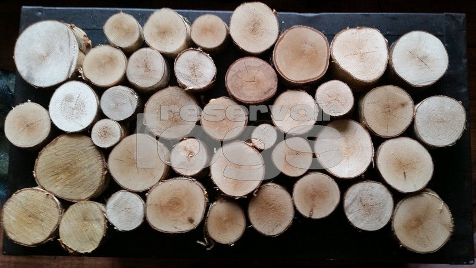 Log Slices Varied Diameters Bundle 25mm Thick Kiln Dried Silver Birch