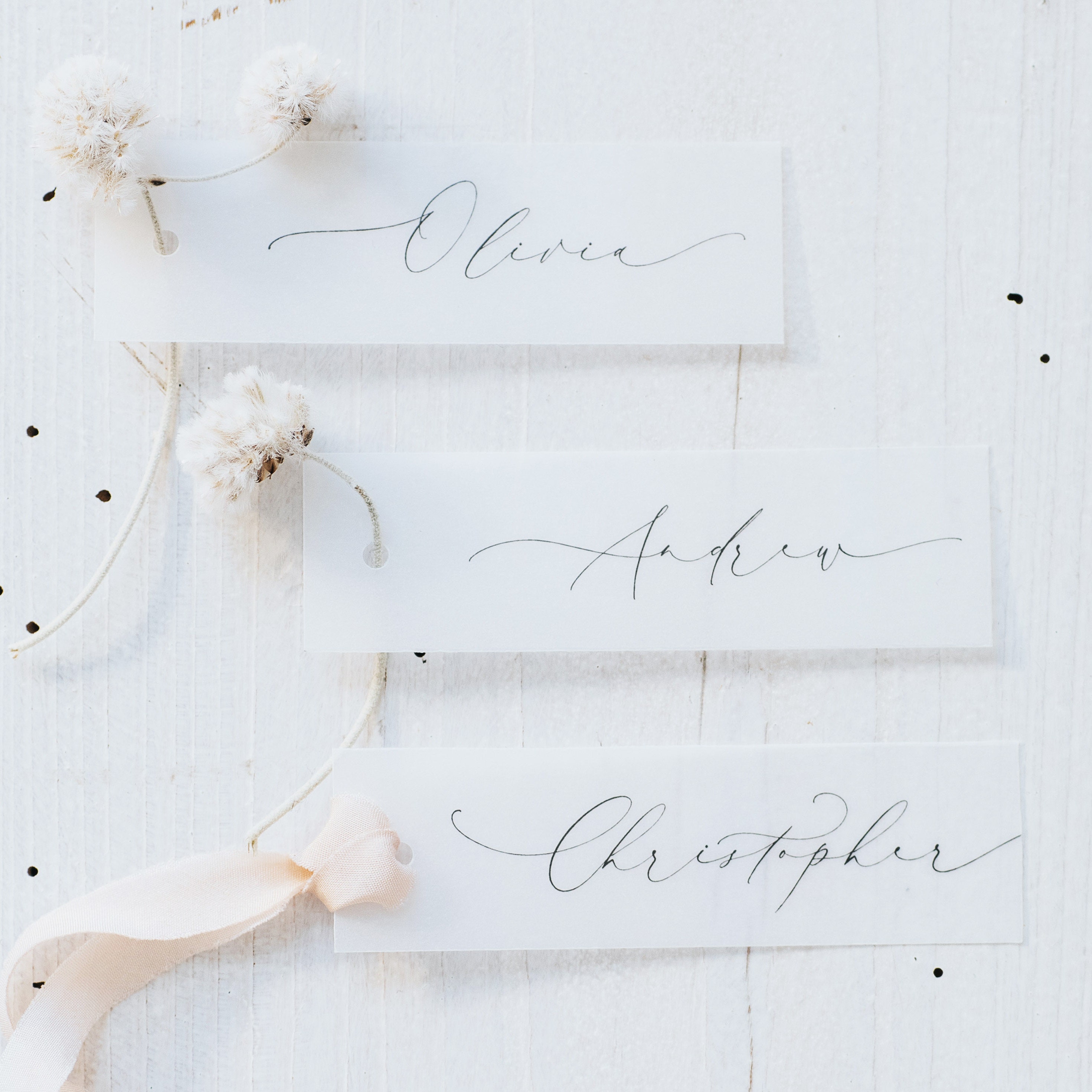 Vellum Table Name Tags - Transparent Names Cards