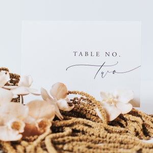 table numbers ideas wedding reception - romantic wedding table names - custom wedding table numbers -