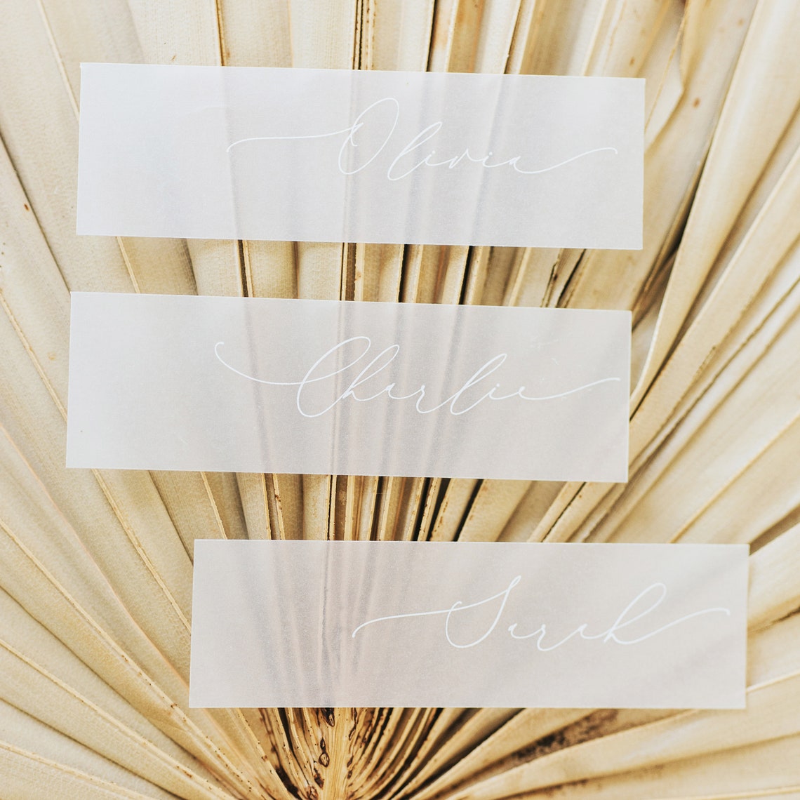 Wedding Name Tags Vellum Place Name Tags Transparent Name Etsy Australia