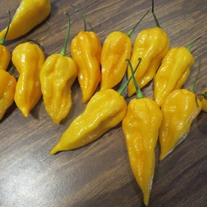 50 Pepper Seeds Bhut Jolokia Yellow Ghost Pepper