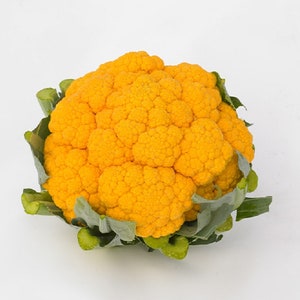 Cauliflower Seeds 25 Seeds Cauliflower Clementine Chedder Cauliflower