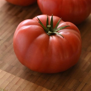 Tomato Seeds Blushing Star 25 Beefsteak Tomatoes Vegetable Seeds