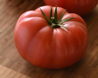 Tomato Blushing Star 25 Tomato Seeds Beefsteak Tomato