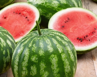 Bush Watermelon Cal Sweet Watermelon 25 thru 300 Seeds