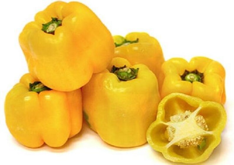 200 Seeds Sweet Sunbright Pepper Seeds Sweet Pepper Etsy