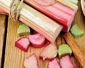 50 Victoria Rhubarb Seeds Perennial Seeds