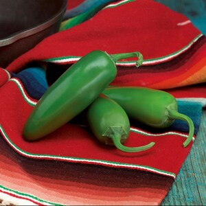 Vegetable 25 Compandre Pepper Seeds Jalapeno Pepper F1 Hybrid