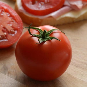 25 Stellar Tomato Seeds Slicing Tomatoes Vegetable Seeds