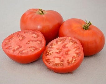 May include: Four red tomatoes, two whole and two halved, showing the inside of the fruit. The tomatoes are a deep red color and have a smooth, shiny skin.
