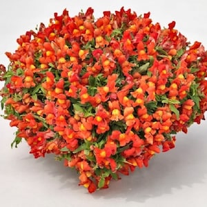 plant pot for railing Lakeside Railing Flower Pot Holders for Balcony or Deck 2 Pack main image 0