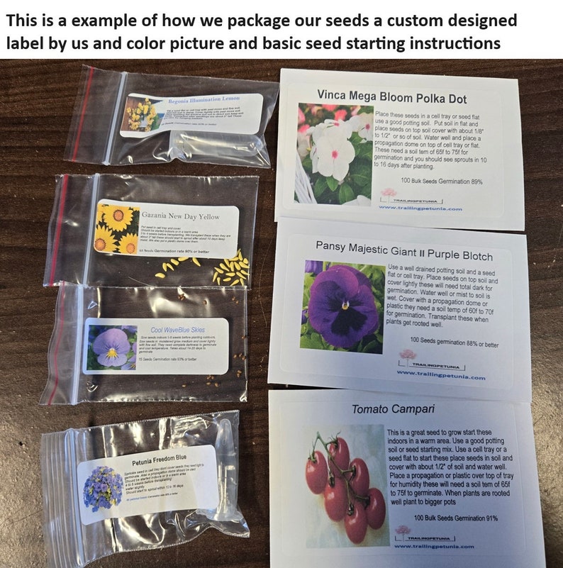 Basic Seed Collection Label Example Primula Seeds Primula Blue Zebra 25 Primrose Seeds - Etsy