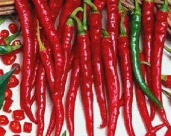 May include: A bunch of bright red chili peppers with green stems. The peppers are long and thin, and they are arranged in a row.