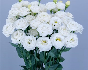 May include: A bouquet of white lisianthus flowers with green stems and leaves.