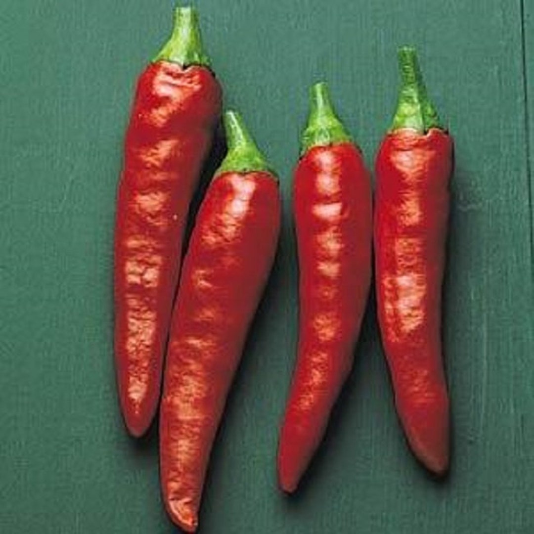 25 Super Chili Pepper Seeds F1 Variety Hot Pepper Etsy