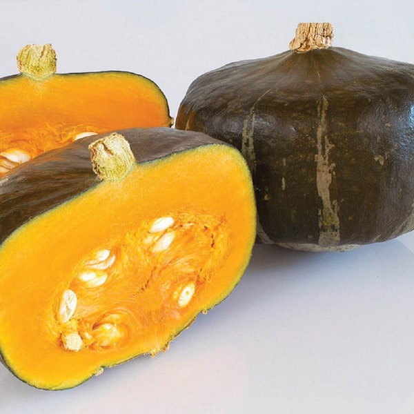 Squash Seeds Bonbon 25 Seeds Winter Squash