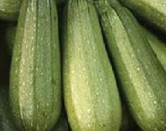 May include: A close-up of a group of green zucchini squash. The zucchini are arranged in a pile, with the ends of the squash visible.