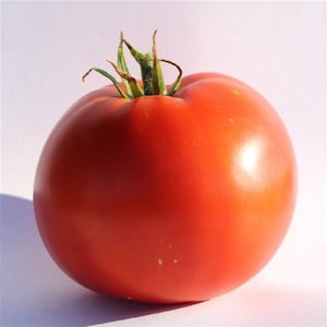May include: A large, ripe red tomato with a green stem. The tomato is smooth and shiny, with a slight sheen.