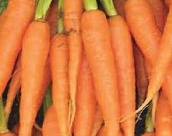 Vegetable Seeds 3,000 Carrot Seeds Imperator Carrot Garden Seeds