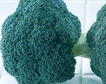 Broccoli Seeds Destiny Broccoli Seeds F1 Variety 100 Vegetable Seeds