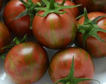 Tomato Seeds 25 Bumble Bee Purple F1 Cherry Tomatoes
