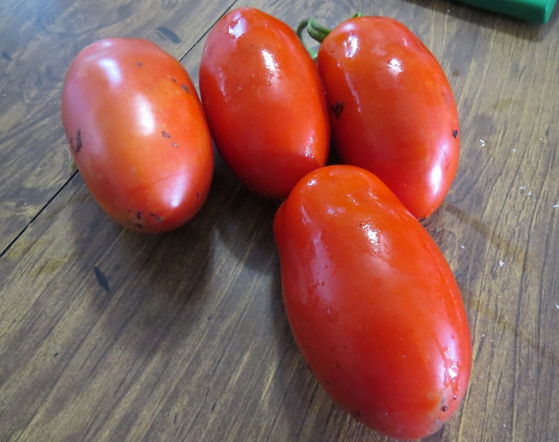 Tomato Seeds La Roma III Hybrid Tomato Seeds 25 To 500 Seeds Etsy