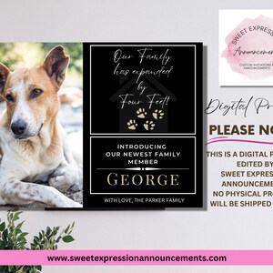 New Dog, New Cat, Pet Photo Announcement, New Pet Adoption, Personalized Pet Announcement, Digital Pet Photo Card
