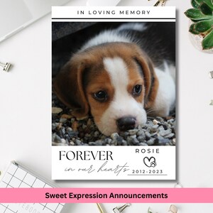 Recuerdo conmemorativo personalizado para mascotas, tarjeta de condolencias por la pérdida de una mascota, regalos por la pérdida de una mascota, en memoria de un perro o un gato, recuerdo digital