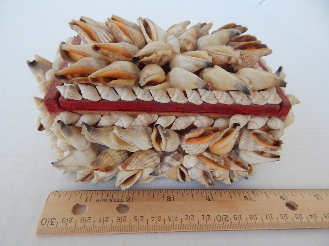 Folk Art Sea Shell Covered Box Handmade Collectible Trinket - Etsy