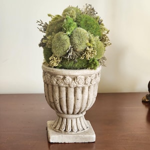 May include: A decorative moss topiary in a stone-colored urn. The topiary features various shades of green moss and dried plant material. The urn has a square base, a fluted body, and a decorative floral pattern around the rim. A classic home decor item.