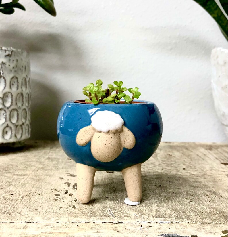 Cute Shallow Sheep Planter Pot for Succulents Cactus House Etsy