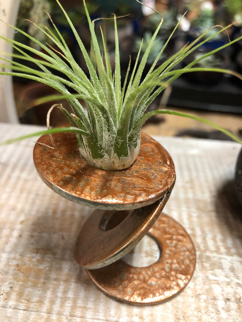 Air Plant Metal Stand Air Plant Display Tillandsia Holder Etsy