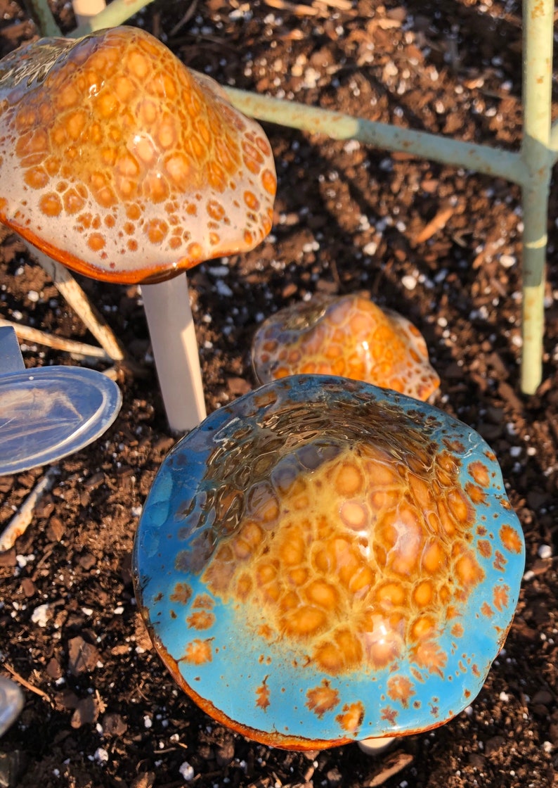 Large Ceramic garden mushrooms colorful Toadstools Etsy